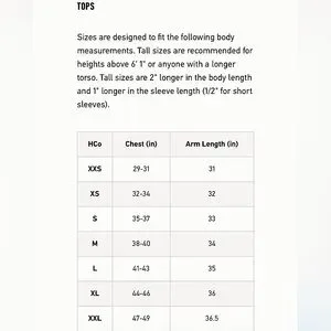 Hollister Shirts Hollister Zermatt Switzerland Graphic Crew